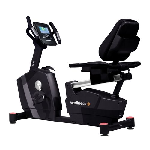 Bike Ergométrica Horizontal Profissional UB8000 Wellness -  GY082