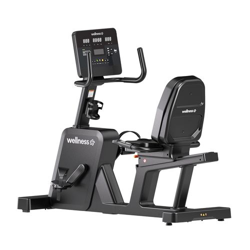 BIKE ERGOMETRICA HORIZONTAL RB9000 WELLNESS - GY116